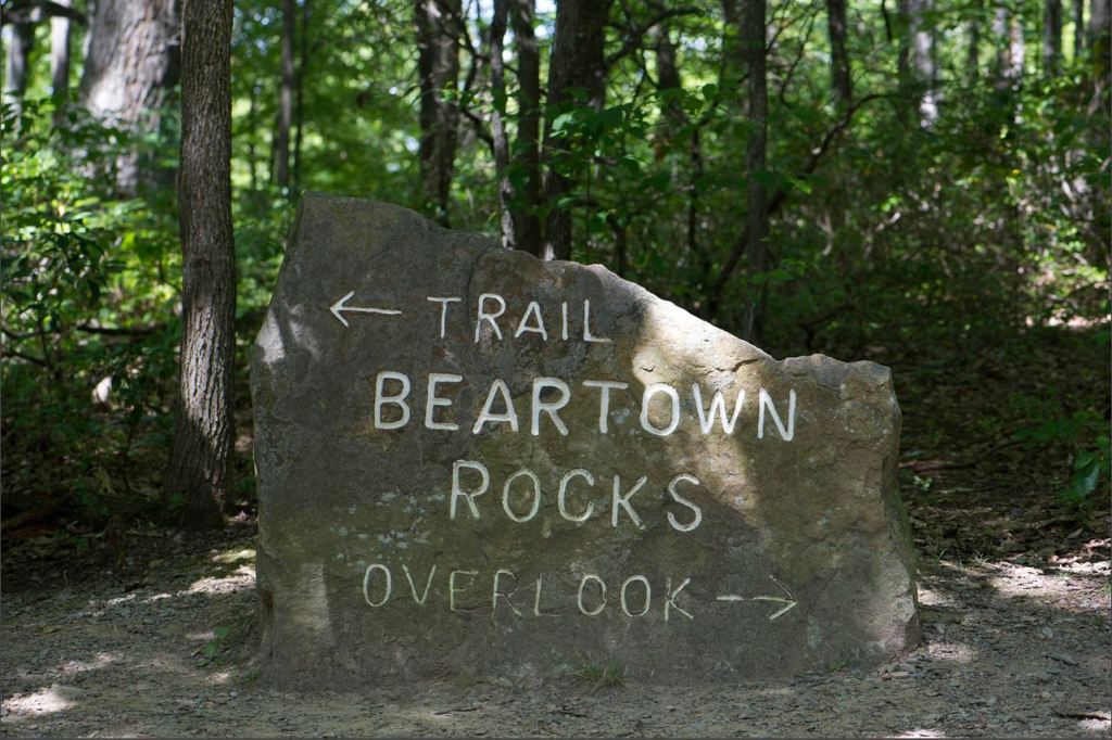 \"Beartown